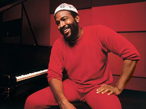 Famous motown singer Marvin Gaye