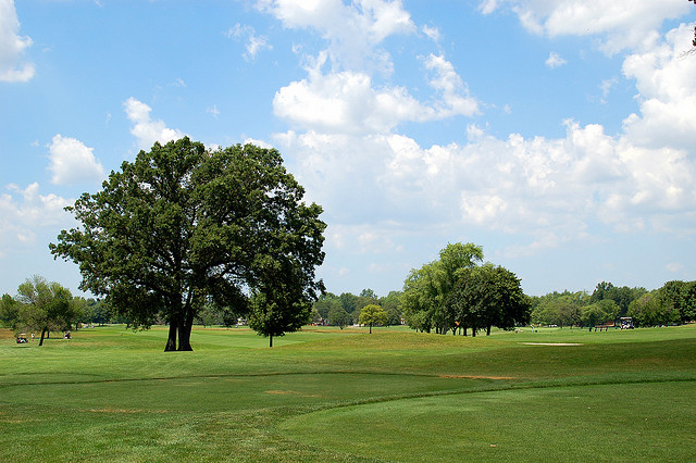 View of the Rackham Golf Course, where the team practices.
