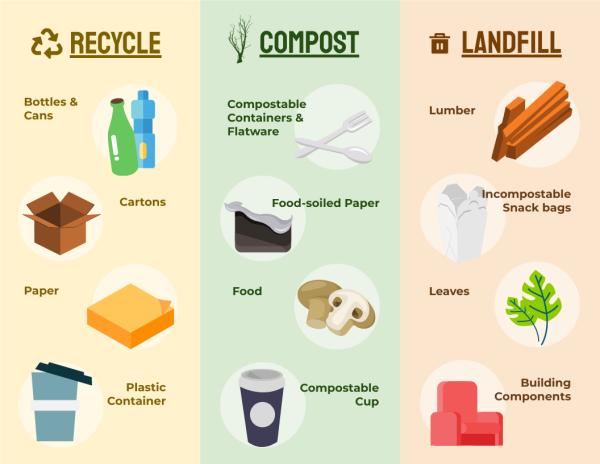 What Really Happens to Your Recycling?