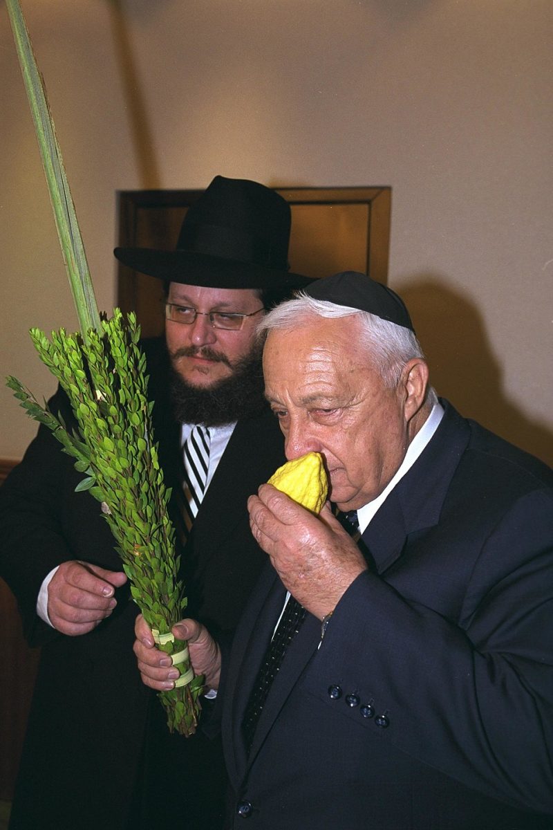 A man holding the Lulav and Etrog.
Photo by Avi Ohayon from Wikimedia Commons