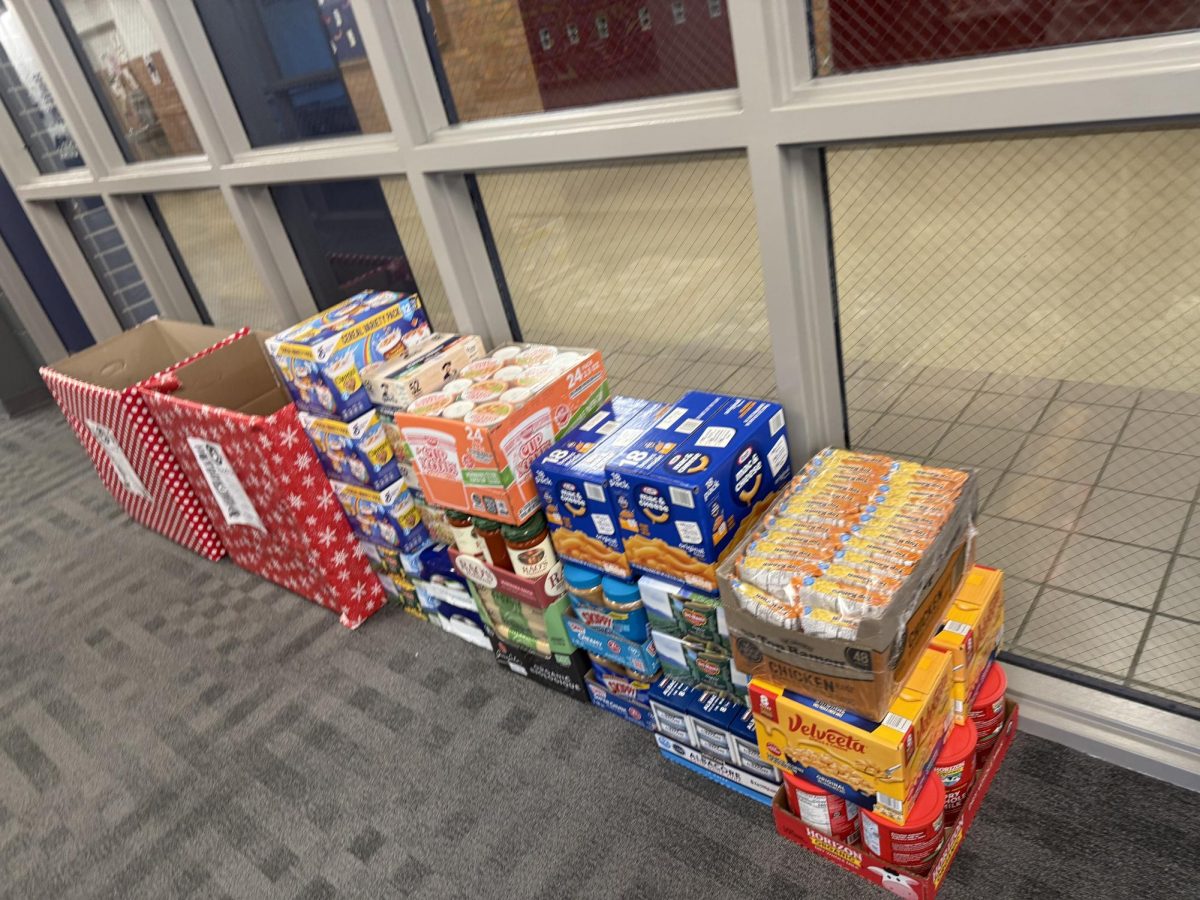 Food donated towards the Youth Empowerment Club food drive